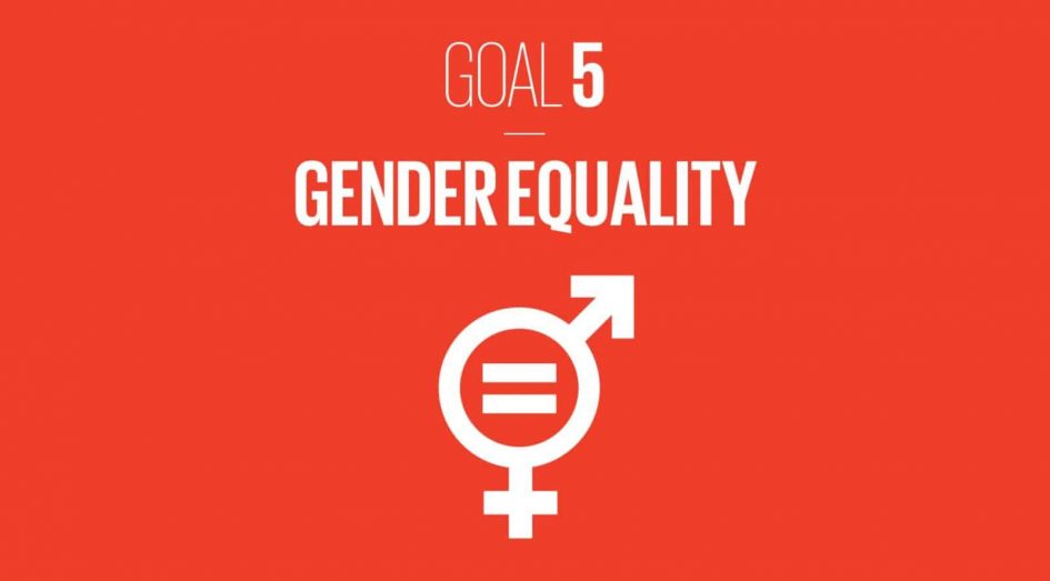 Gender Equality Sdg 5 As The Basis For Achieving All Other Sustainable Development Goals 6906