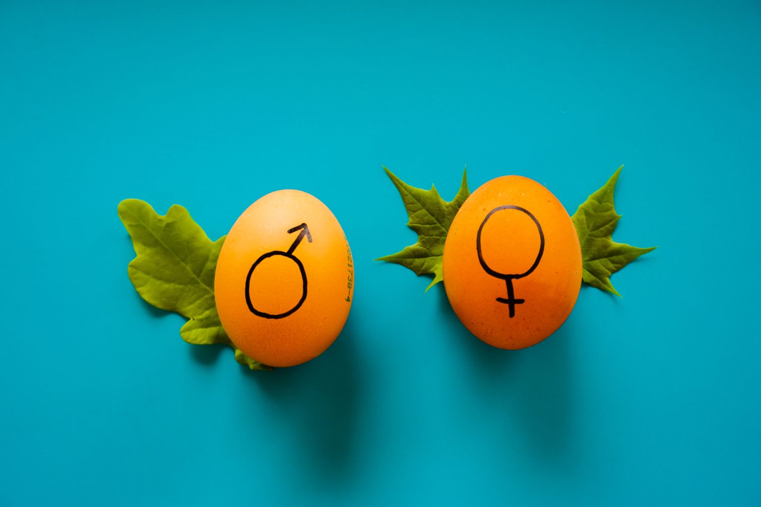 2019-2020-gender-equality-publications